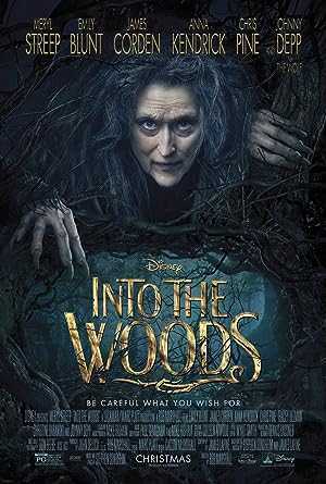 فیلم به‌ سوی جنگل Into the Woods 2014 دانلود و تماشای آنلاین