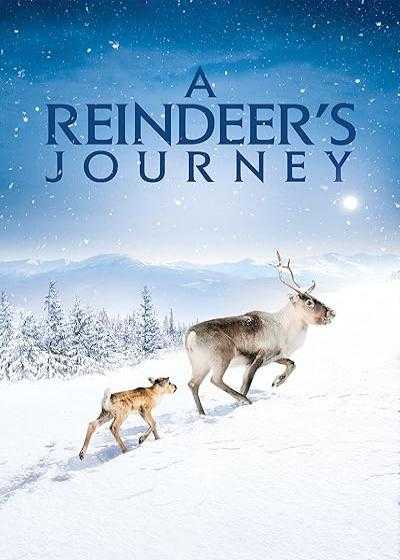 فیلم سفر آیلو A Reindeer’s Journey 2018