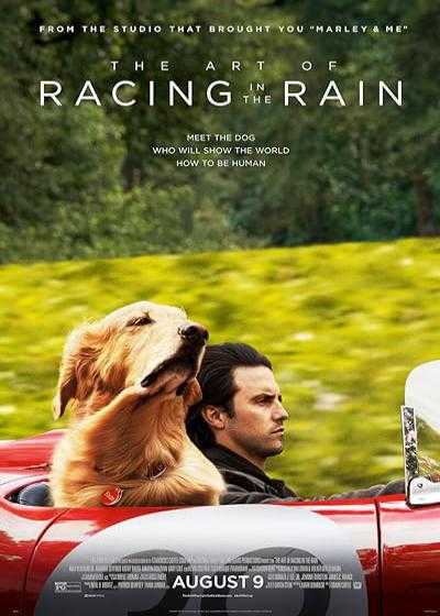 فیلم هنر مسابقه در باران The Art of Racing in the Rain 2019