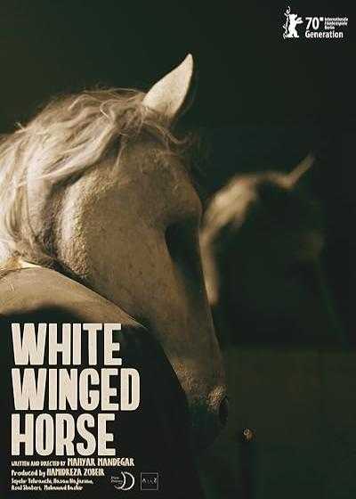 فیلم کوتاه اسب سفید بالدار White Winged Horse 2020