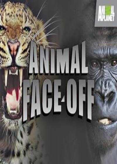 فیلم رویارویی حیوانات Animal Face Off 2004