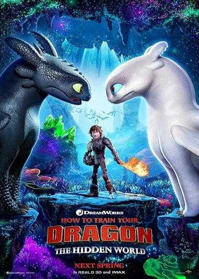 انیمیشن مربی اژدها ۳: جهان پنهان How to Train Your Dragon 3: The Hidden World 2019