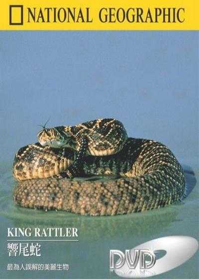 فیلم شاه مار زنگی King Rattler 2004