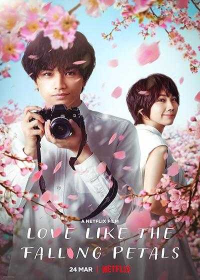 فیلم عشقی مانند سقوط گلبرگ ها Love Like the Falling Petals 2022