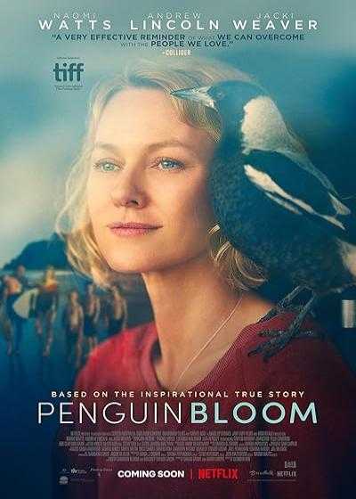 فیلم پنگوئن بلوم Penguin Bloom 2020