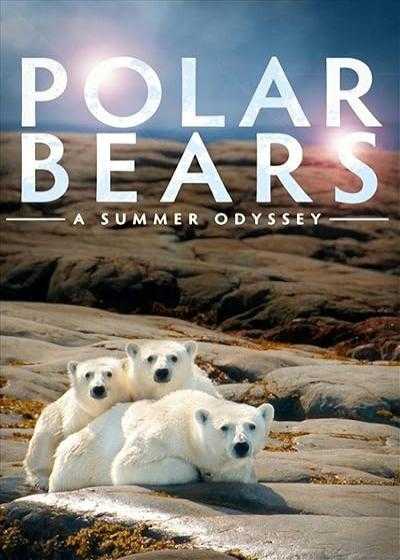 فیلم خرسهای قطبی: یک سفر تابستانی Polar Bears: A Summer Odyssey 2012