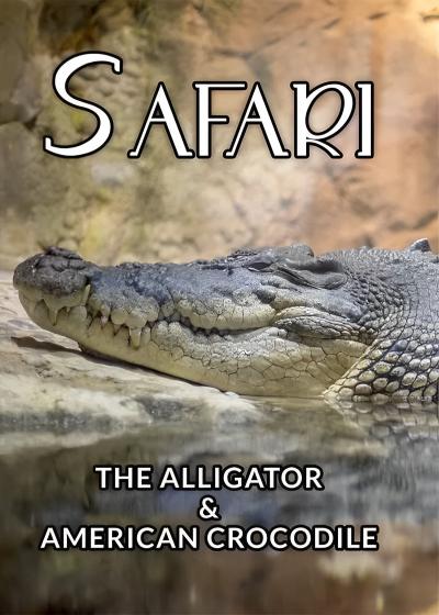 فیلم سافاری: تمساح و کروکودیل آمریکایی Safari: The Alligator and American Crocodile 1996