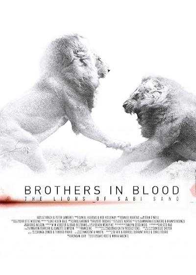 فیلم برادران تنی: شیر های سابی سند Brothers in Blood: The Lions of Sabi Sand 2015