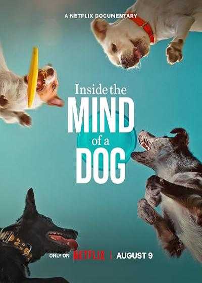 فیلم درون ذهن یک سگ Inside the Mind of a Dog 2024