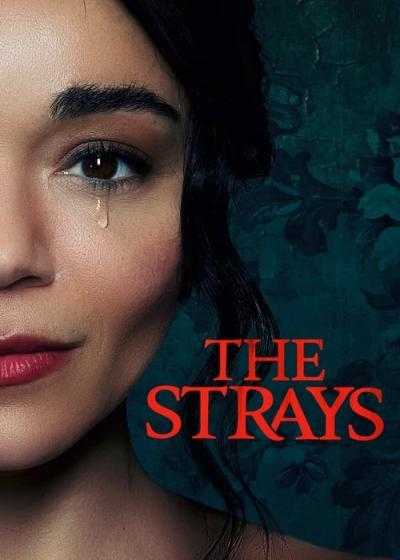 فیلم ولگرد The Strays 2023