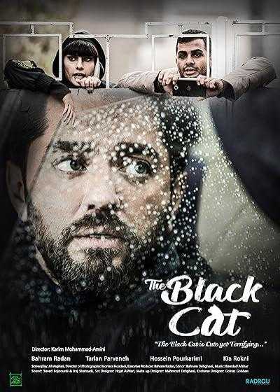 فیلم گربه سیاه The Black Cat 2020